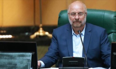 قالیباف: مصوبه دولت درباره  رتبه‌بندی  بررسی می‌شود