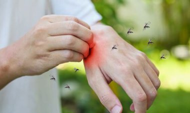 با مصرف این ویتامین‌ از نیش پشه   در امان باشید