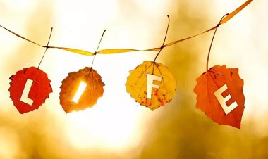 چگونه عمری طولانی داشته باشیم