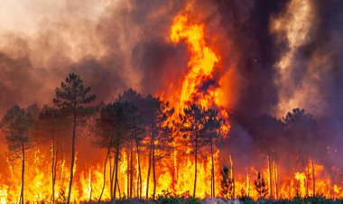 تصاویری آخرالزمانی از آتش‌سوزی جنگل‌های اسپانیا   