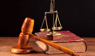 حکم بازداشت امین فردین صادر شد    