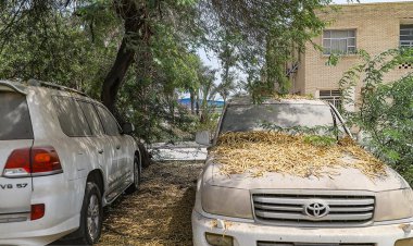 وضعیت عجیب خودروهای میلیاردی در  پارکینگ های  تملیکی بندرعباس