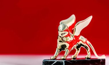 فیلم جدید وحید جلیلوند در  ونیز