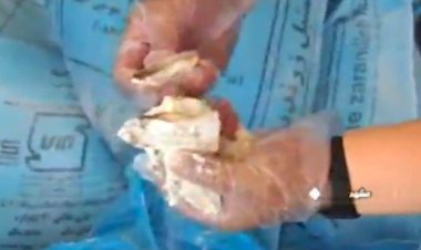 تولید کیک و کلوچه با آرد کپک زده و سبوس دامی!