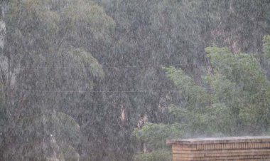 بارش باران و رعد و برق در فارس آغاز شد    