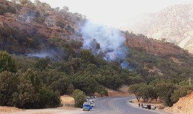 آتش سوزی گسترده در تنگ گنجه ای