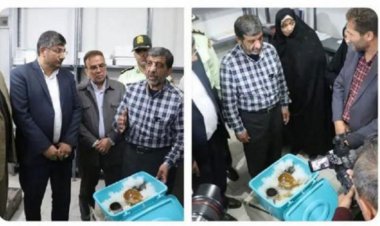 توضیحات ضرغامی درباره نحوه نگه‌داری یک اثر تاریخی داخل ظرف پلاستیکی