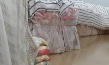 واکنش انجمن واردکنندگان به آبگرفتگی محموله‌های برنج در زاهدان   