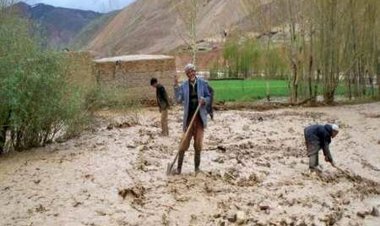  200 میلیارد تومان خسارت سیل به بخش کشاورزی و جاده‌های داراب