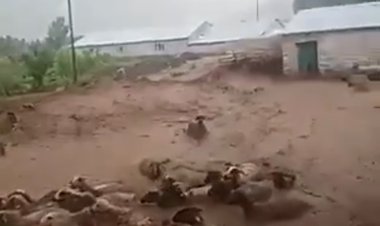 وقتی سیل به آغل گوسفندان می زند