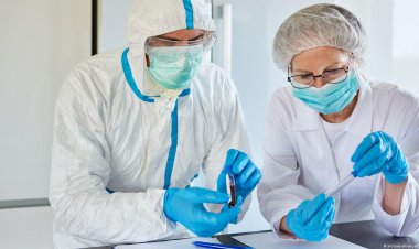  پادتن ضد گونه‌‌های کرونا کشف شد