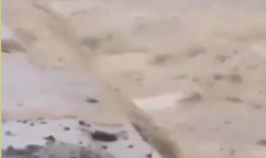 ببینید؛ اشتباه مرگبار