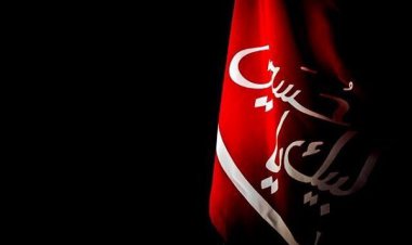 بشنوید| نوبت محرم شد