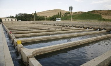ببینید| خسارت سیل به مزرعه پرورش ماهی در بویراحمد