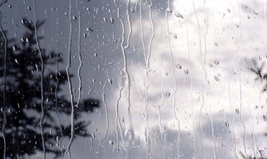 افزایش ۳۷ درصدی بارندگی‌ها در فارس