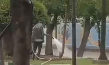 ببینید | اقدام عجیب وسط تهران؛ آبیاری درختان زیر باران شدید!