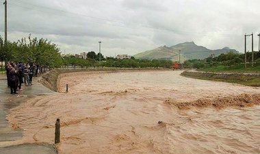 سیلاب در استان بوشهر قربانی گرفت