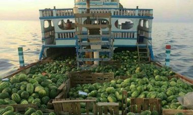 صادرات مجانی آب به شیخ‌نشین‌های خلیج فارس!    