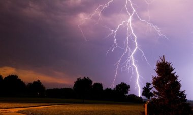 برخورد آذرخش ۵۰ رأس گوسفند را در خنج تلف کرد    