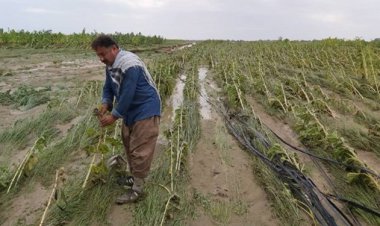 خسارت حدود ۱۰ هزار میلیاردی سیل به حوزه کشاورزی تاکنون