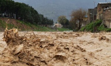 ۶۰۰ راس دام در بختگان تلف شدند