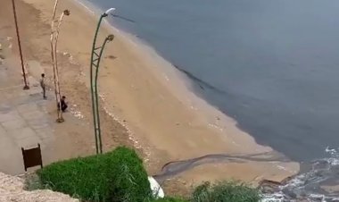 آلودگی پارک دریایی ریشهر به علت ورود لجن