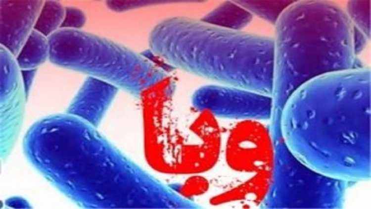 ابتلای ۳۷ مورد قطعی به وبا در کشور