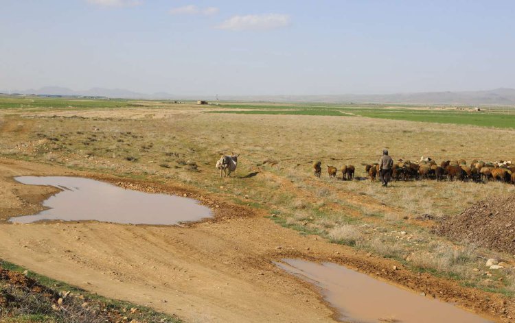 قصه بی سرانجام حفاظت از منابع آب استان فارس و هزار راه نرفته