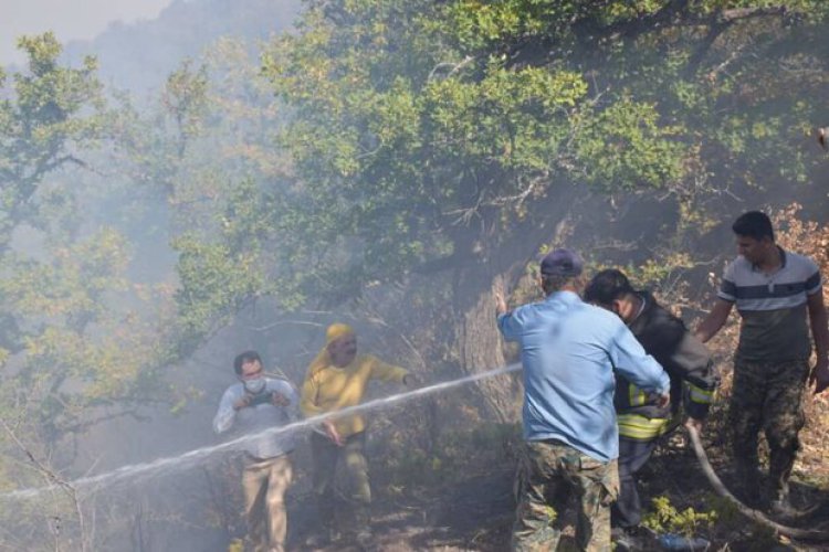 مهار آتش سوزی جنگل‌های بویراحمد