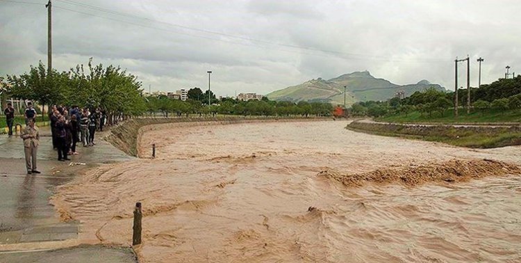 سیلاب در استان بوشهر قربانی گرفت