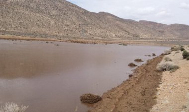 سفره‌های زیرزمینی ارسنجان جان گرفت