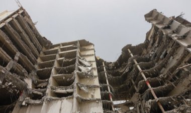 کالبدشکافی متروپل در دادگاه