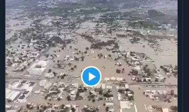 فیلم | اینجا شیراز و ایران نیست!