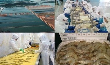 ۲۰۰۰ تن محموله آبزیان استان بوشهر صادر شد