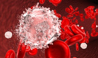 کشف بسیار هیجان انگیز؛ سلول خوب و بد