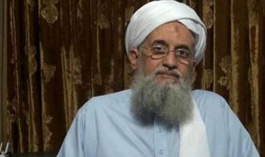 طالبان: کشته شدن سرکرده القاعده را تأیید می کنیم    