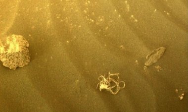 ناسا راز اسپاگتی پیدا شده در مریخ را فاش کرد