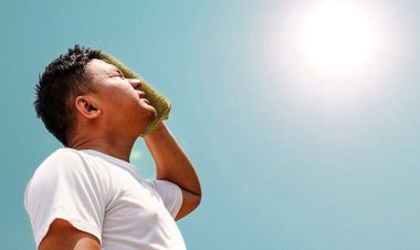 گرما چه بلایی سر خلق‌ و خوی آدم‌ها می‌آورد؟