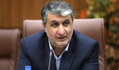 جزئیاتی از دور جدید مذاکرات از زبان رئیس سازمان انرژی اتمی