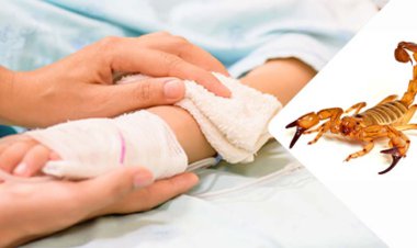 جزئیات فوت کودک عقرب زده در یاسوج