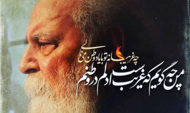 ببینید | سایه دلتنگ غروبی خفه بود... | گوشه ای از شعرخوانی ابتهاج