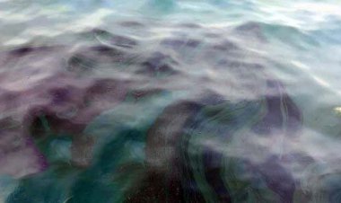 منشاء آلودگی نفتی ساحل کنگان به احتمال زیاد "فروزان" است