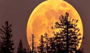 فردا با چشم غیرمسلح از آسمان لذت ببرید