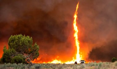 فیلم| پدیده حیرت‌انگیز«گردباد آتش» در آمریکا