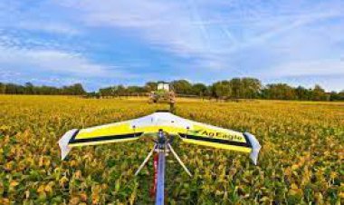 ببینید |نه از کارگر خبر هست و نه از خاک!