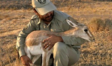 قتل محیط بانی که اعدام نشد