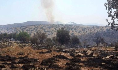 مهار آتش سوزی پارک ملی بمو