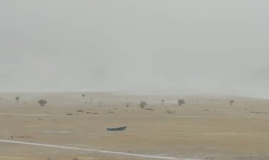 به صدا در آمدن زنگ خطر ریزگرد‌ها در تالاب پریشان