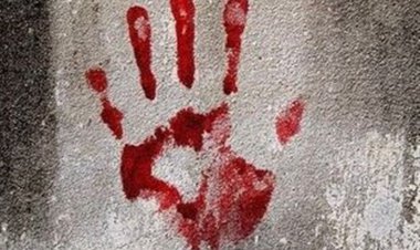 قتل مادر زن در شهرستان فسا/قاتل دستگیر شد    