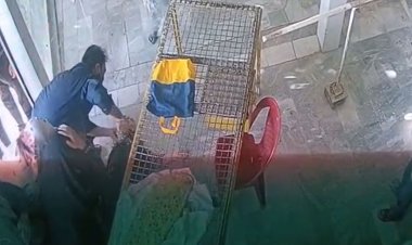 ببینید| نجات یک خانم توسط مرد فداکار